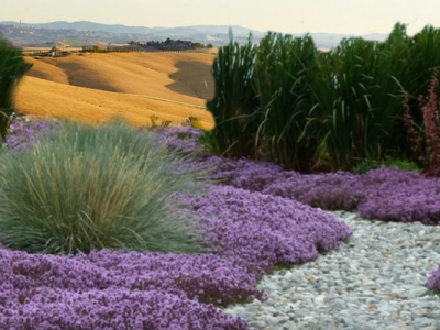 Dry gardens