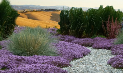 Dry gardens