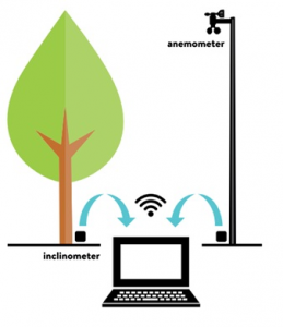 Prova di trazione dinamica (Dyna Root)