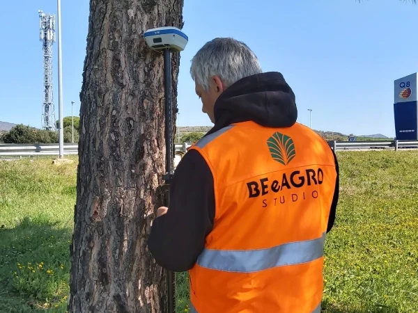 Censimenti arborei 3