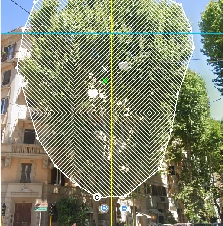 Valutazione Fitostatica Speditiva 1