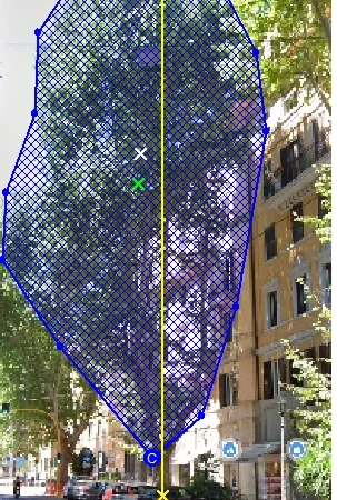 Valutazione Fitostatica Speditiva 2