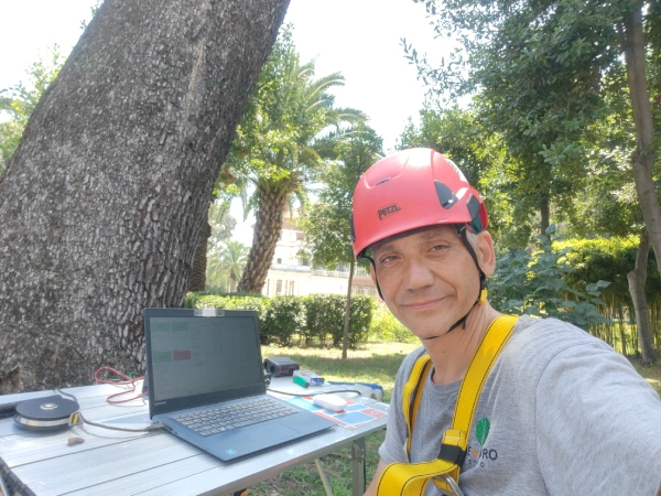 Verifica e attestazione dei Vincoli e le conseguenti elaborazioni